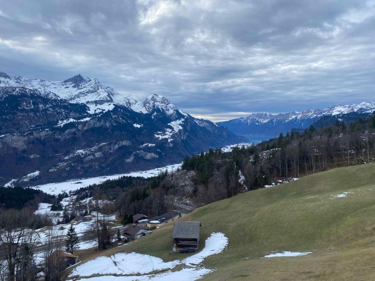 Spring Inn Apartments Meiringen Bagian luar foto