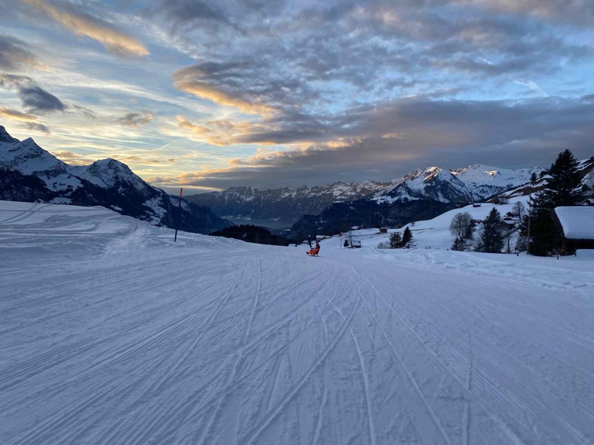 Spring Inn Apartments Meiringen Bagian luar foto