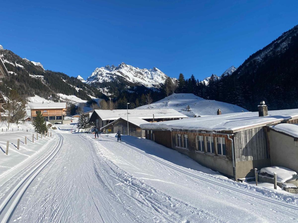 Spring Inn Apartments Meiringen Bagian luar foto