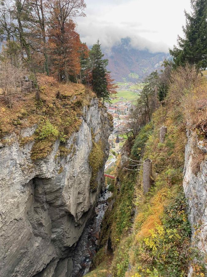 Spring Inn Apartments Meiringen Bagian luar foto