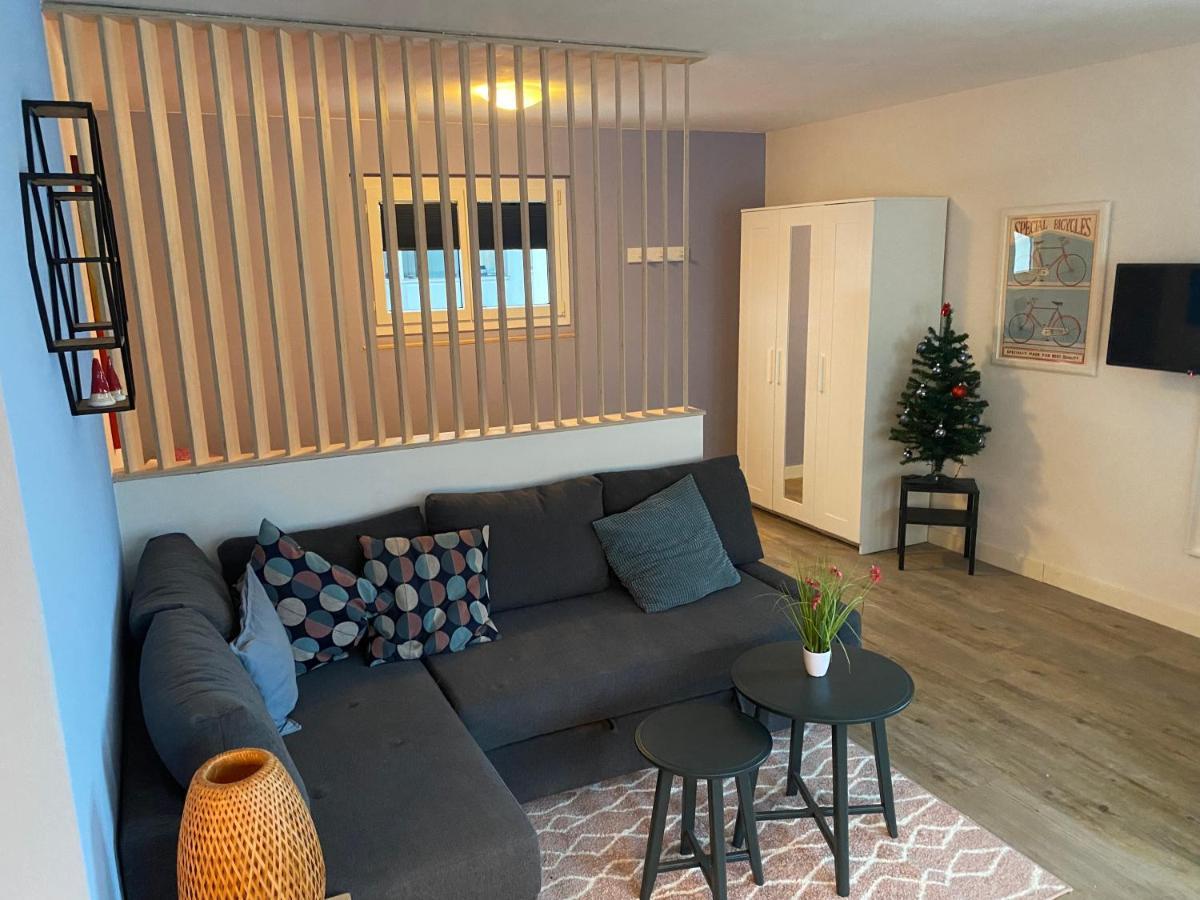 Spring Inn Apartments Meiringen Bagian luar foto