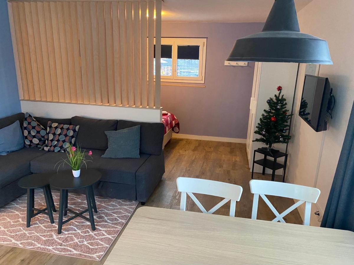 Spring Inn Apartments Meiringen Bagian luar foto