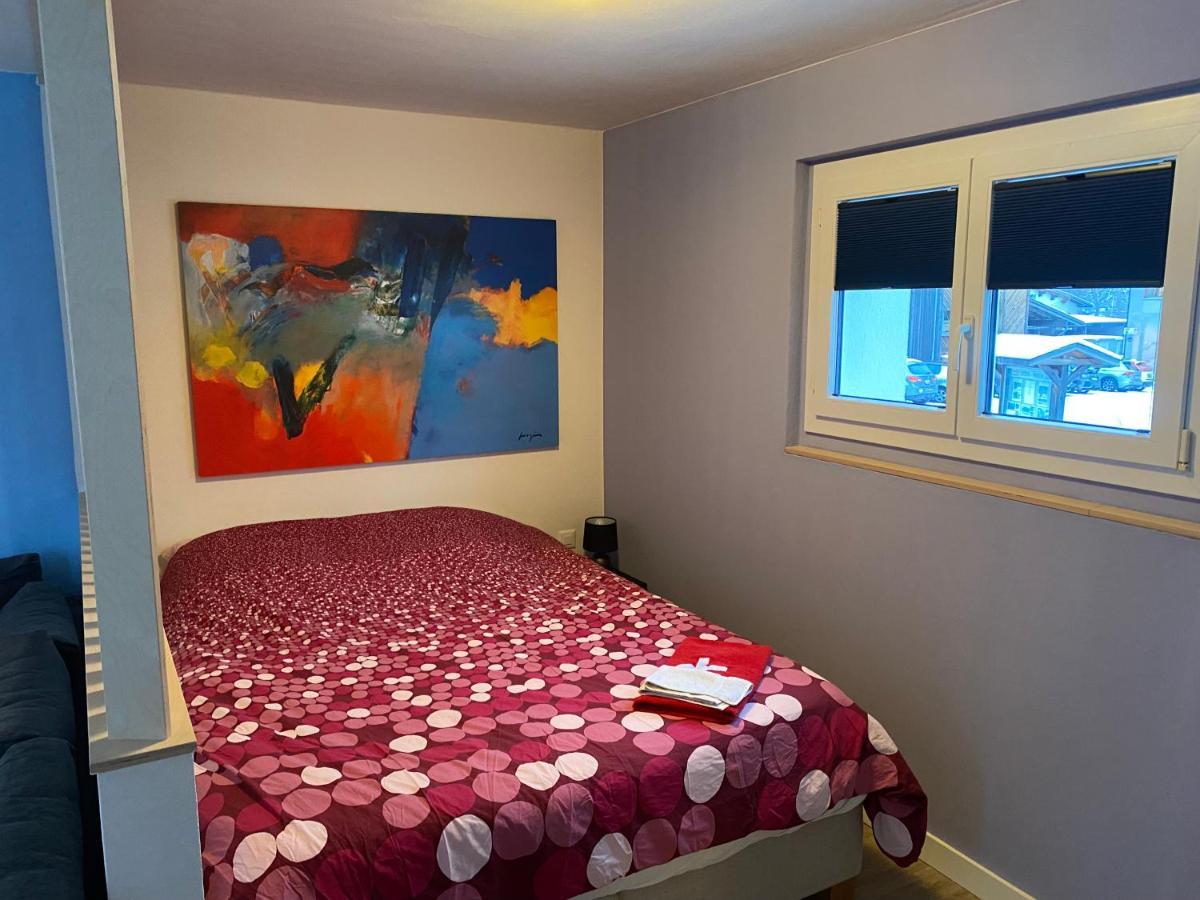 Spring Inn Apartments Meiringen Bagian luar foto