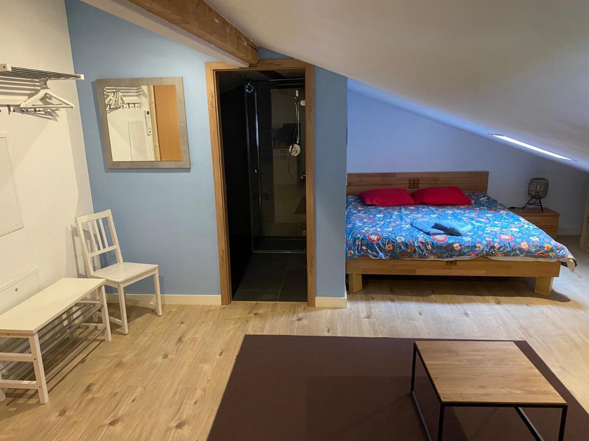 Spring Inn Apartments Meiringen Bagian luar foto