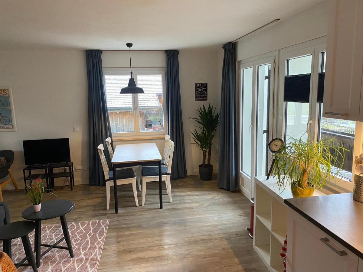 Spring Inn Apartments Meiringen Bagian luar foto