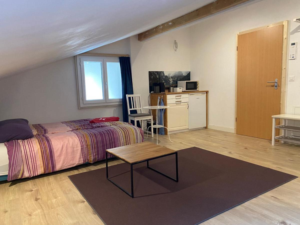Spring Inn Apartments Meiringen Bagian luar foto