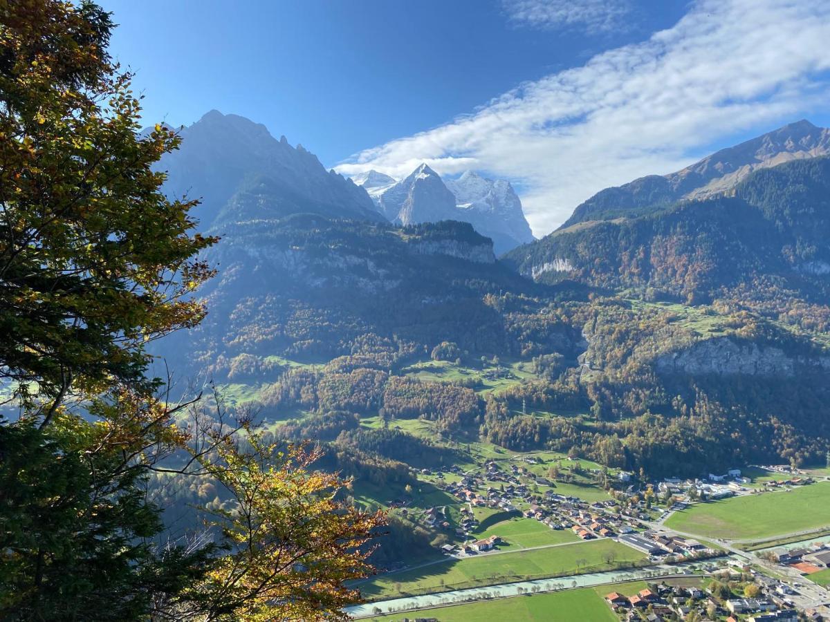 Spring Inn Apartments Meiringen Bagian luar foto