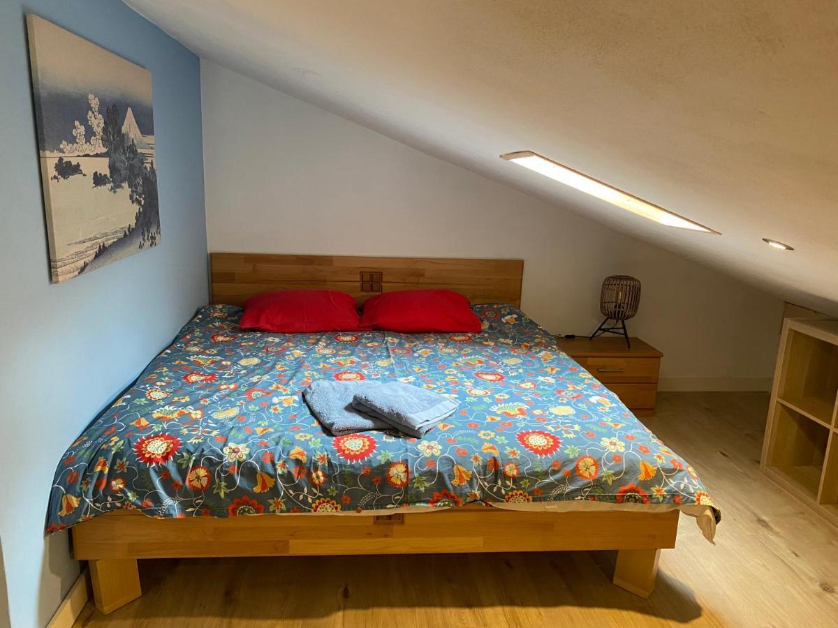 Spring Inn Apartments Meiringen Bagian luar foto