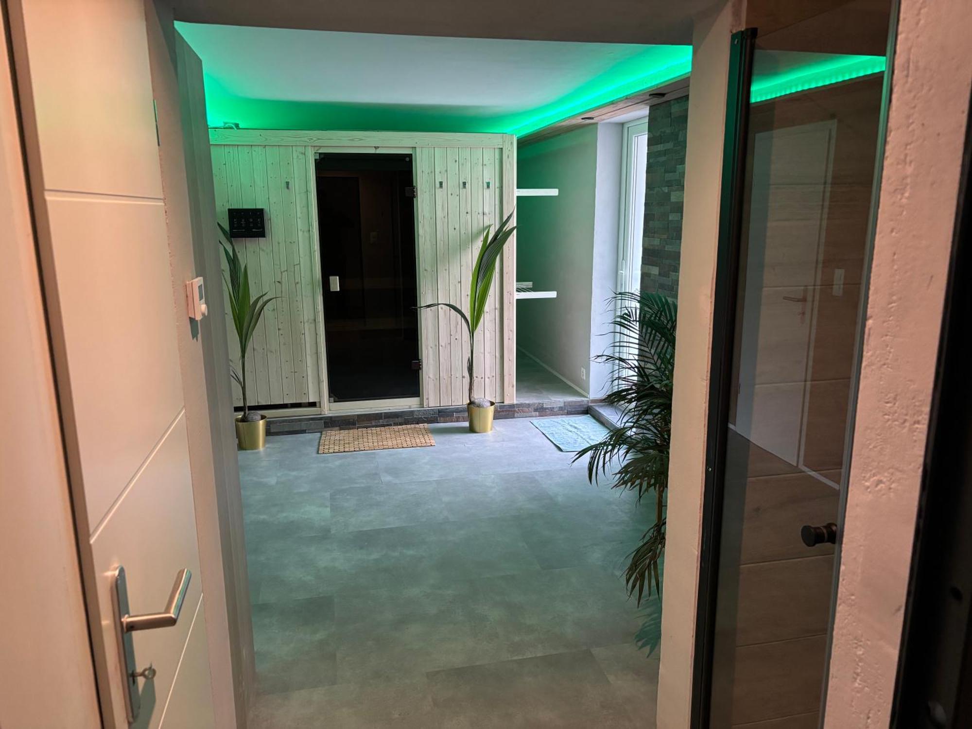 Spring Inn Apartments Meiringen Bagian luar foto