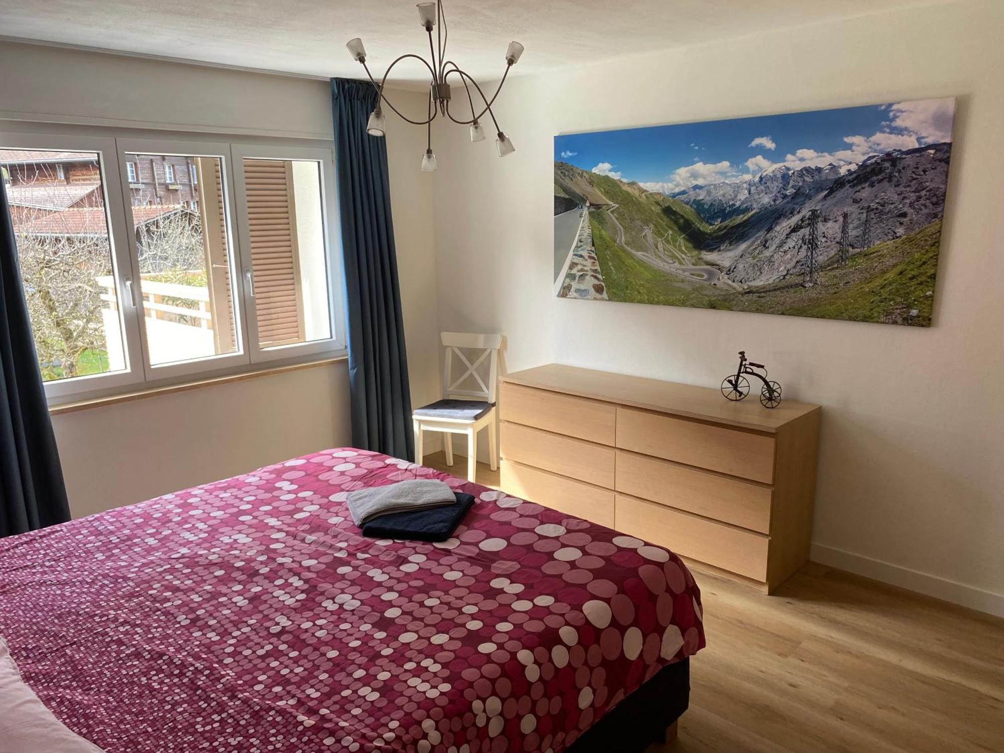 Spring Inn Apartments Meiringen Bagian luar foto
